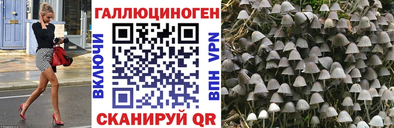 Галлюциногенные грибы Cubensis Богородск