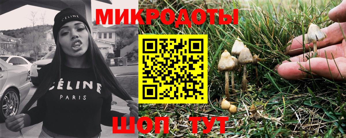 Псилоцибиновые грибы Psilocybe  Богородск 