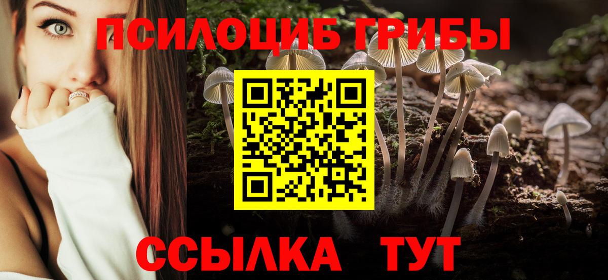 Галлюциногенные грибы GOLDEN TEACHER  Вход с VPN  Богородск 